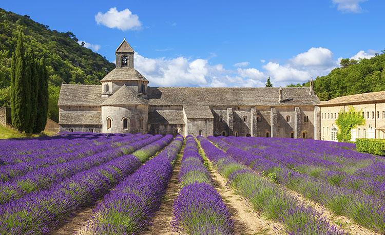 Le Mogador Chateau Du Martinet Violes Exterior photo